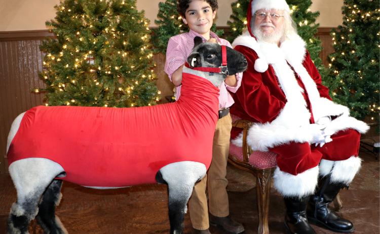 Photo courtesy Pamela Martin of Casablanca Photography. Stetson Branch takes his Ewe named Snowflake to visit Santa at the Merry Market and Fundraising Jolly in Clayton last weekend.