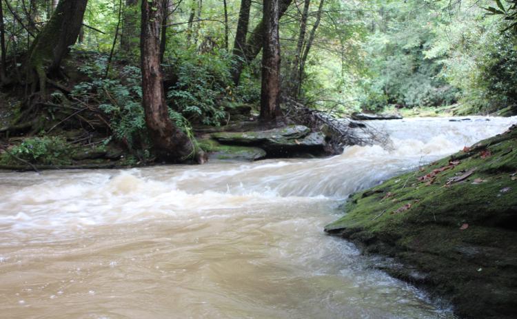 Photo courtesy of Conner Horn. A view of Stekoa Creek off of Rickman Airfield Road just outside of the Clayton city limits.