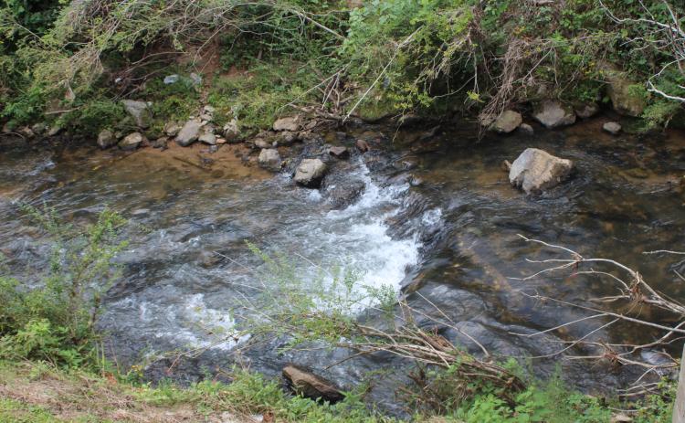 Megan Broome/The Clayton Tribune. A view of Stekoa Creek from Stekoa Creek Park in Clayton. The park is located behind the Georgia Mountain Market and was built by the Chattooga Conservancy.