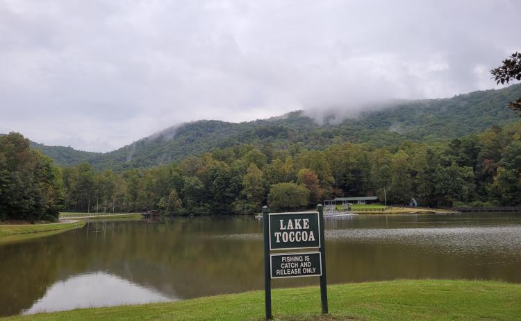 Megan Broome/The Clayton Tribune. She Creek starts on the northwestern flank of Rainy Ridge and flows downstream to enter Lake Toccoa, which is used as an amenity of the Rainy Mountain Boy Scout Camp for swimming and other recreational purposes.