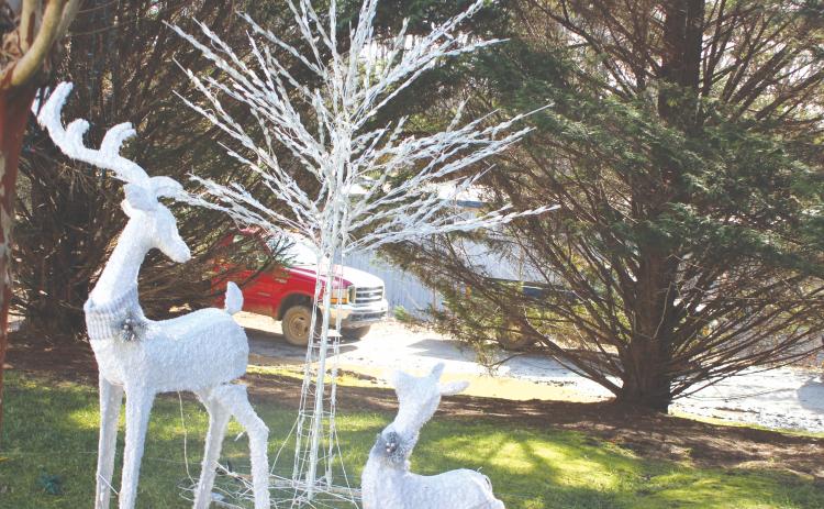 Megan Broome/The Clayton Tribune. Christmas trees similar to this one were stolen from the Christmas Village of Lights display in Tiger overnight last Thursday. Also damaged were a control box and extension cords. The trees weighed about 30 pounds each and two white and two multi-color were stolen. About $1,200 worth of damage was done.