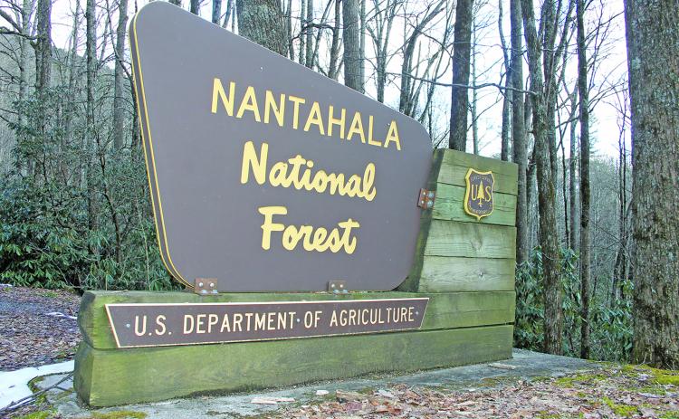 Nantahala National Forest