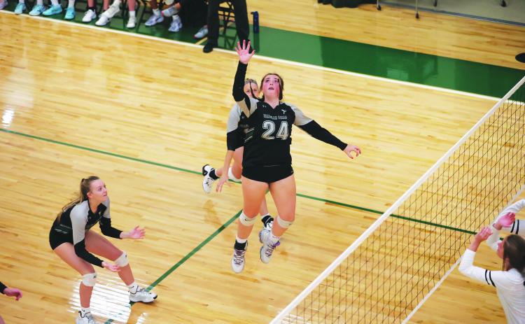 Courtesy of Austin Poffenberger. Senior Addy McCoy goes up for a hit on Monday night. After a nine day break, the Lady Indians have picked up where they left off with four straight wins.