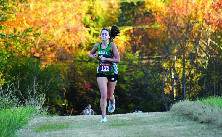 Enoch Autry/The Clayton Tribune. Tallulah Falls girls runner Ellesen Eubank was the top Lady Indians finisher as the senior came in 11th at the Region 8 meet.