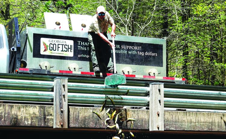 Submitted photo. A Georgia Department of Natural Resources worker from the top of a bridge in Rabun County. From Monday, April 3 to Thursday, April 6, the DNR stocked 60 water bodies, primarily in the Northeast Georgia region.