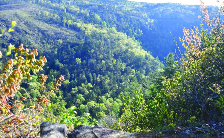 Enoch Autry/The Clayton Tribune. The scenic overlook at the Tallulah Gorge in Tallulah Falls offers visitors quite a view. If a rails to trails project comes to fruition in Tallulah Falls and beyond, visitors will have the opportunity to see even more areas of the Northeast Georgia mountains.