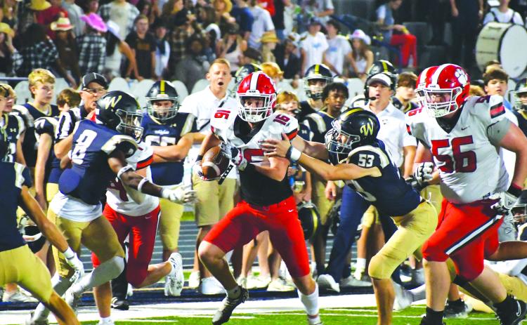 Wade Cheek/The Clayton Tribune. Wildcat sophomore Reid Giles breaks multiple tackles on his way into the end zone for his first of two TD’s in the 38-7 win over Whitefield Academy. Giles totaled almost 200 yards of total offense in the game.