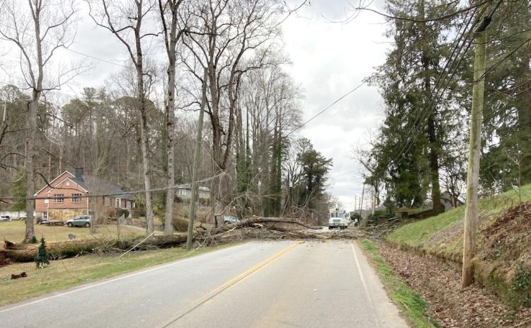 Photo courtesy of Clayton Police Department Assistant Chief John Grist. A downed tree blocked the roadway at  Old Highway 441 South at Dunlap Street for more than four hours on Friday, Dec. 29, 2023.