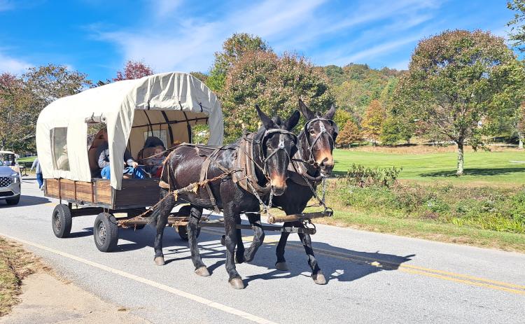 Megan Horn/The Clayton Tribune. A horse-drawn carriage could be seen giving Sky Valley Fall Festival goers lifts through the city on a beautiful sunny Saturday, Oct. 19, day at the 11th annual event. Below: Veterans of Foreign Wars (VFW) Post 4570 cooked hotdogs for the community at the Sky Valley Fall Fest.