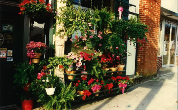 Submitted photo. Beautiful flowers were a site to see at the Clayton Flower Bed, especially during the summer months. These pictures taken in June 1996 display the colorful flowers.