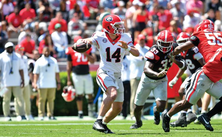 Wade Cheek/The Clayton Tribune. Former Rabun County football quarterback and potential 2025 Georgia starter Gunner Stockton surveys the field for a completion during G-Day on Saturday, April 12. Stockton completed 17-of-34 passes for 309 yards and two touchdowns as his Red team defeated the Black team 34-17 in Athens.