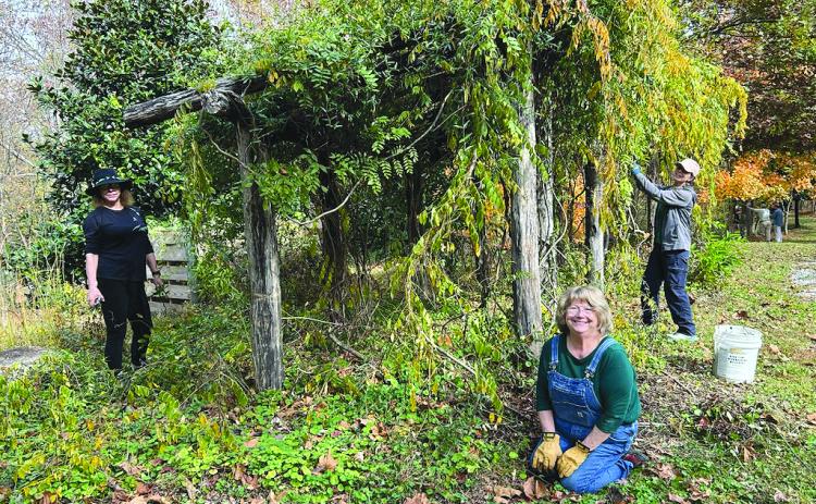Submitted Photo. Master Gardeners Suzanne Arpin, Paula Ridgewell and Lynn McShane work on the arbor at Stekoa Creek Park on Saturday, Nov. 8. Volunteers help remove invasive species at Stekoa Creek Park.