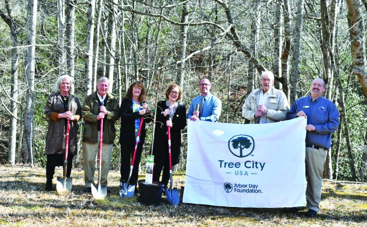 Megan Horn/The Clayton Tribune. City of Sky Valley officials support planting a Cherry Tree to celebrate Georgia Arbor Day as well as George Washington, whose birthday is Feb. 22, and America’s 250th birthday, which is coming up on July 4. Pictured are Sky Valley Council Members CareySue Beasley, left; Jim Curtis; Beth Pence; Mayor Benita Cotton-Orr; Council Members Jesse Price; Tony Allred; and City Manager Jason Streetman.