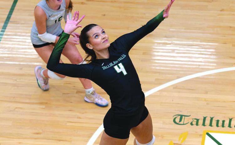 Submitted photo. Beatriz Araujo of Tallulah Falls prepares to strike the volleyball.