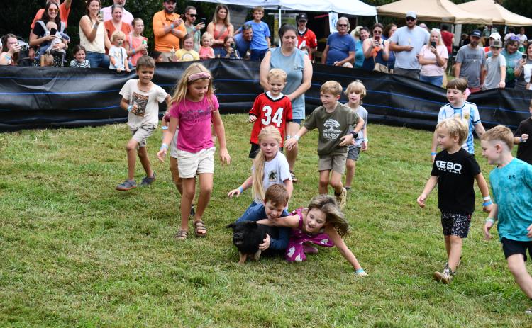 Megan Horn/The Clayton Tribune. Arya Ford, age 7, was the winner of one of the pig races in the 5-7-year-old category at the Foxfire Mountaineer Festival on Oct. 3. Ford, center, is pictured tackling the pig to the ground with help from a fellow competitor. The annual pig races always draw a big crowd.