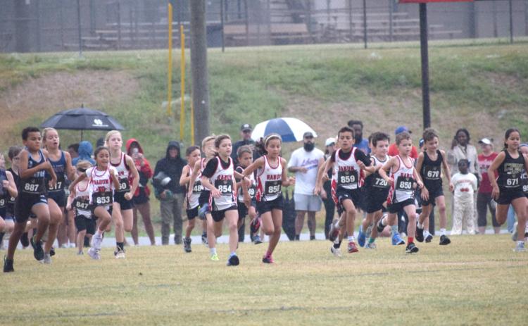 Submitted. 8U runners start their race at the GRPA State Cross Country Championship on Oct. 3 in Jefferson, Ga.