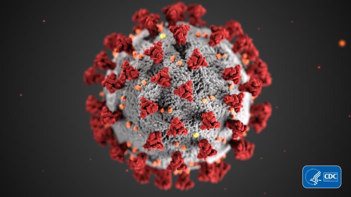Coronavirus has sickened hundreds of thousands people and killed thousands more in Georgia. (Image: Centers for Disease Control and Prevention)