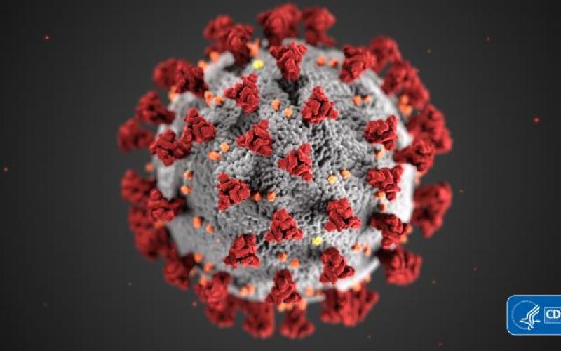 Coronavirus has killed hundreds and sickened tens of thousands in Georgia. (Image: Centers for Disease Control and Prevention)