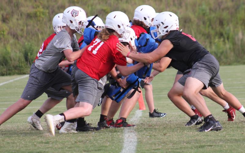 Andy Diffenderfer/The Clayton Tribune. The Rabun County Wildcat gridders opened practice Monday.