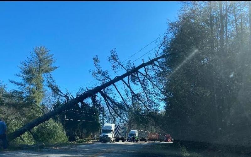 Photo courtesy of Jenifer Kulow. Megan Broome/The Clayton Tribune. Highway 76  East was shut down for six hours due to trees and power lines being down following Monday's overnight storm.
