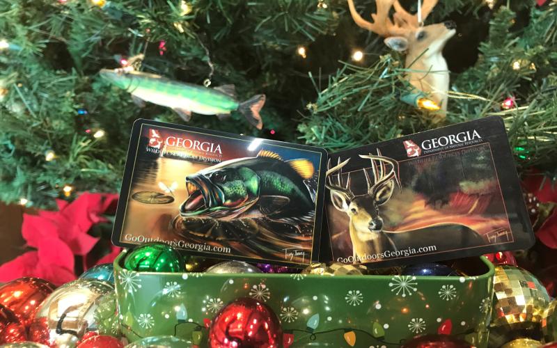 Courtesy of Aubrey Pawlikoski. The Georgia DNR has three different types of hunting or fishing licenses that are perfect for the outdoorsy person on your Christmas list. Buying a license helps the Wildlife Resources Division maintain fishing areas as well as managing the animal herds.