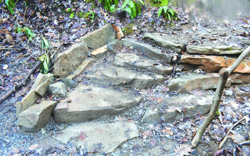 Megan Broome/The Clayton Tribune.  A view of the new stairs made by crew members with the Southeast Conservation Corps, located on a portion of the Bartram Trail that comes out of Warwoman Dell near the old Civilian Conservation Corps trout runs. 