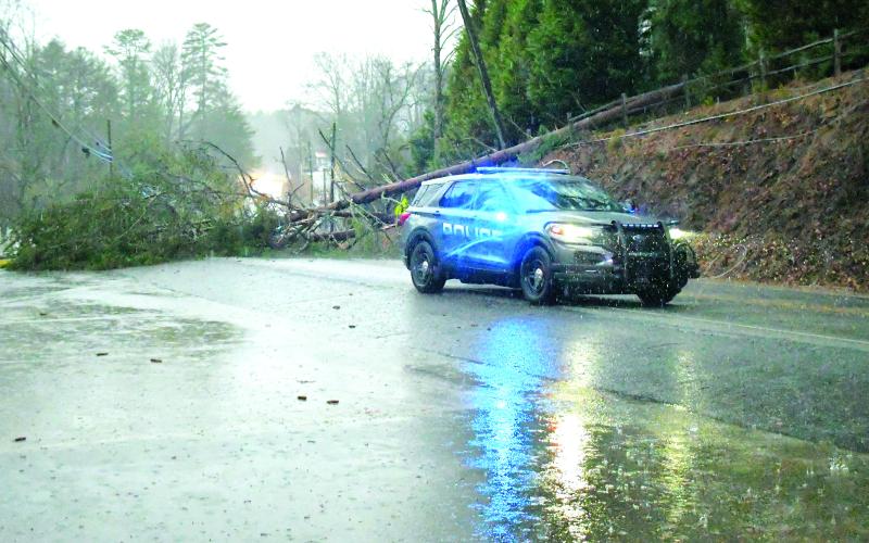 Luke Morey/The Clayton Tribune. The Jan. 12 storm downed trees that disrupted power for residents. Among those fallen trees were this one on Old Highway 441 near Leaning Chimney in Clayton.