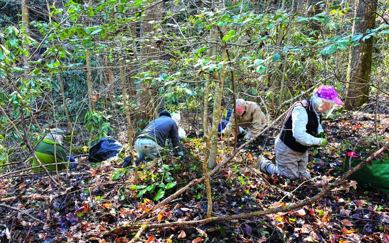 Submitted photo. Georgia ForestWatch Board members volunteer to remove 300 pounds of invasive plants and trash before many spring wildflowers emerge at the Warwoman Dell recreation area just outside Clayton. 