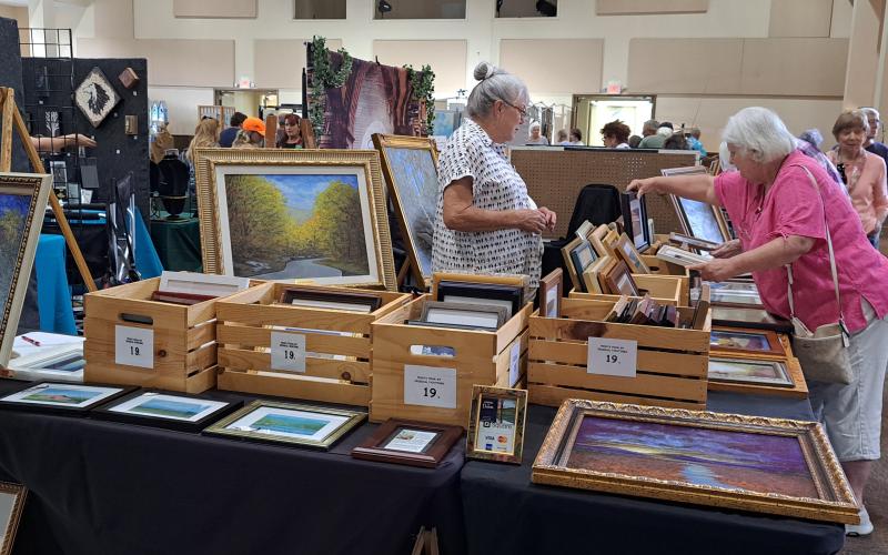 Megan Broome/The Clayton Tribune. Many people view the paintings of Dennis Trubey during the Painted Fern Art Festival July 8 and 9.