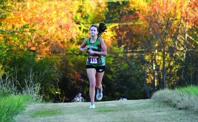 Enoch Autry/The Clayton Tribune. Tallulah Falls girls runner Ellesen Eubank was the top Lady Indians finisher as the senior came in 11th at the Region 8 meet.