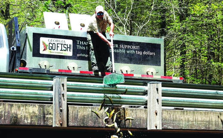 Submitted photo. A Georgia Department of Natural Resources worker from the top of a bridge in Rabun County. From Monday, April 3 to Thursday, April 6, the DNR stocked 60 water bodies, primarily in the Northeast Georgia region.